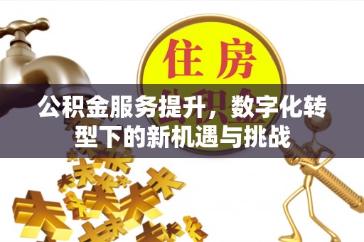 平顺公积金服务提升，数字化转型下的新机遇与挑战