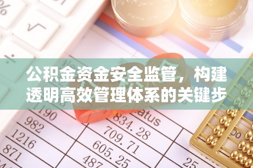 平顺公积金资金安全监管，构建透明高效管理体系的关键步骤
