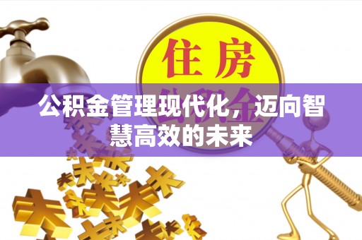 平顺公积金管理现代化，迈向智慧高效的未来
