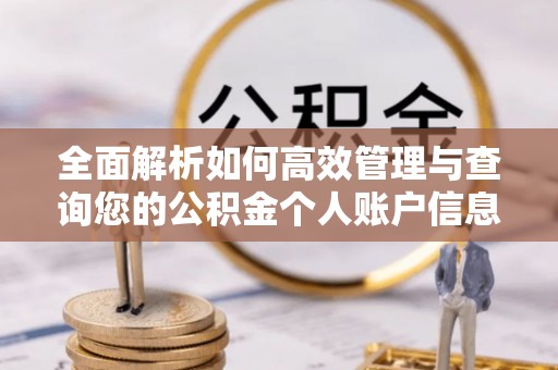 平顺全面解析如何高效管理与查询您的公积金个人账户信息