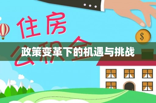 平顺政策变革下的机遇与挑战